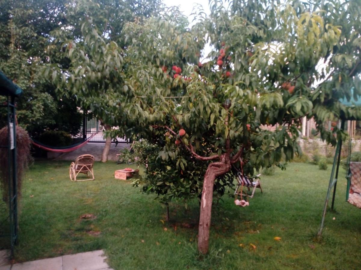 Green Garden Πομπηία Εξωτερικό φωτογραφία